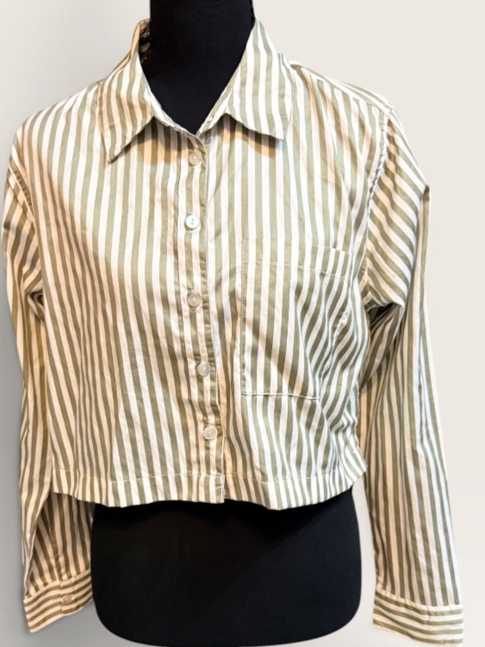 Japna Cropped Striped Button-Down Shirt - Olive & White Size S